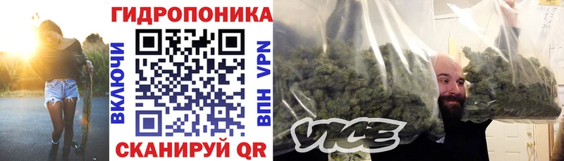Бошки Шишки Bruce Banner цены Завитинск